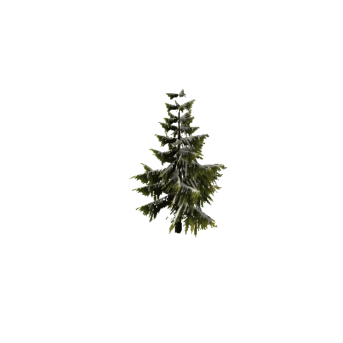 Pine_Tree_Green 1_Snow_1